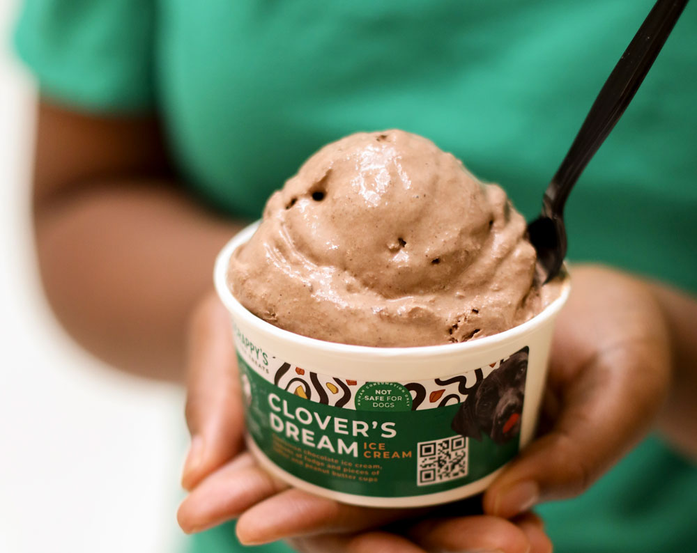 Bowl of chocolate ice cream