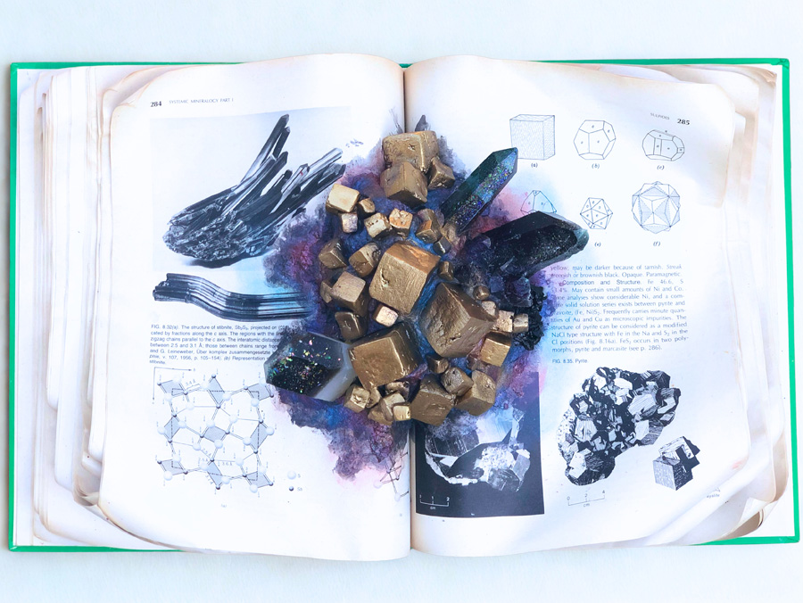 Pyrite Herbarium by Shamsy Roomiani
