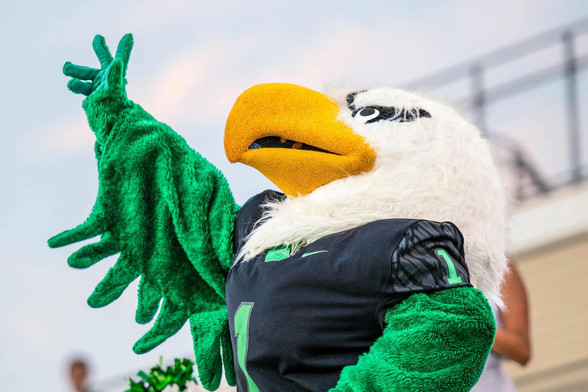 UNT mascot Scrappy, an Eagle with university colors of green and white