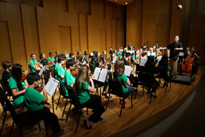Summer String Institute (Photo by Felix Olschofka)