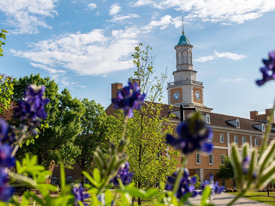 UNT Hurley Administration Building, blue bonnet flowers in the foreground