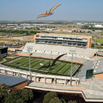 Pterodactyl image 6