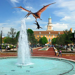Pterodactyl image 11