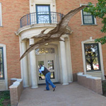 Pterodactyl image 10