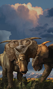 Perotorum, for the Perot Museum of Nature and Science