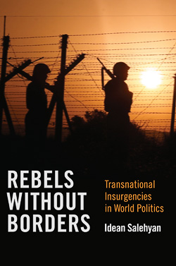 Transnational  Insurgencies in World Politics book cover