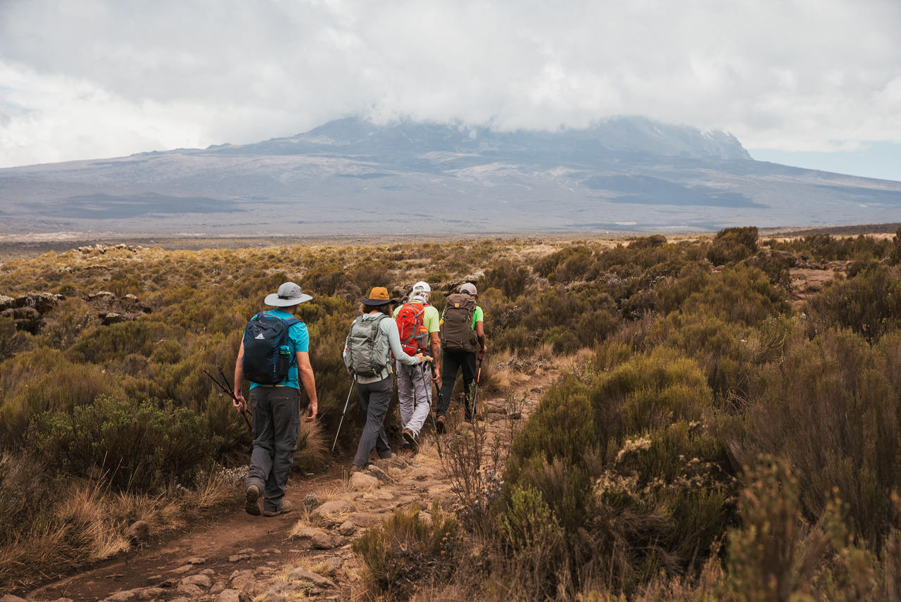 Alicia Eggert's You Are On A Mountain project