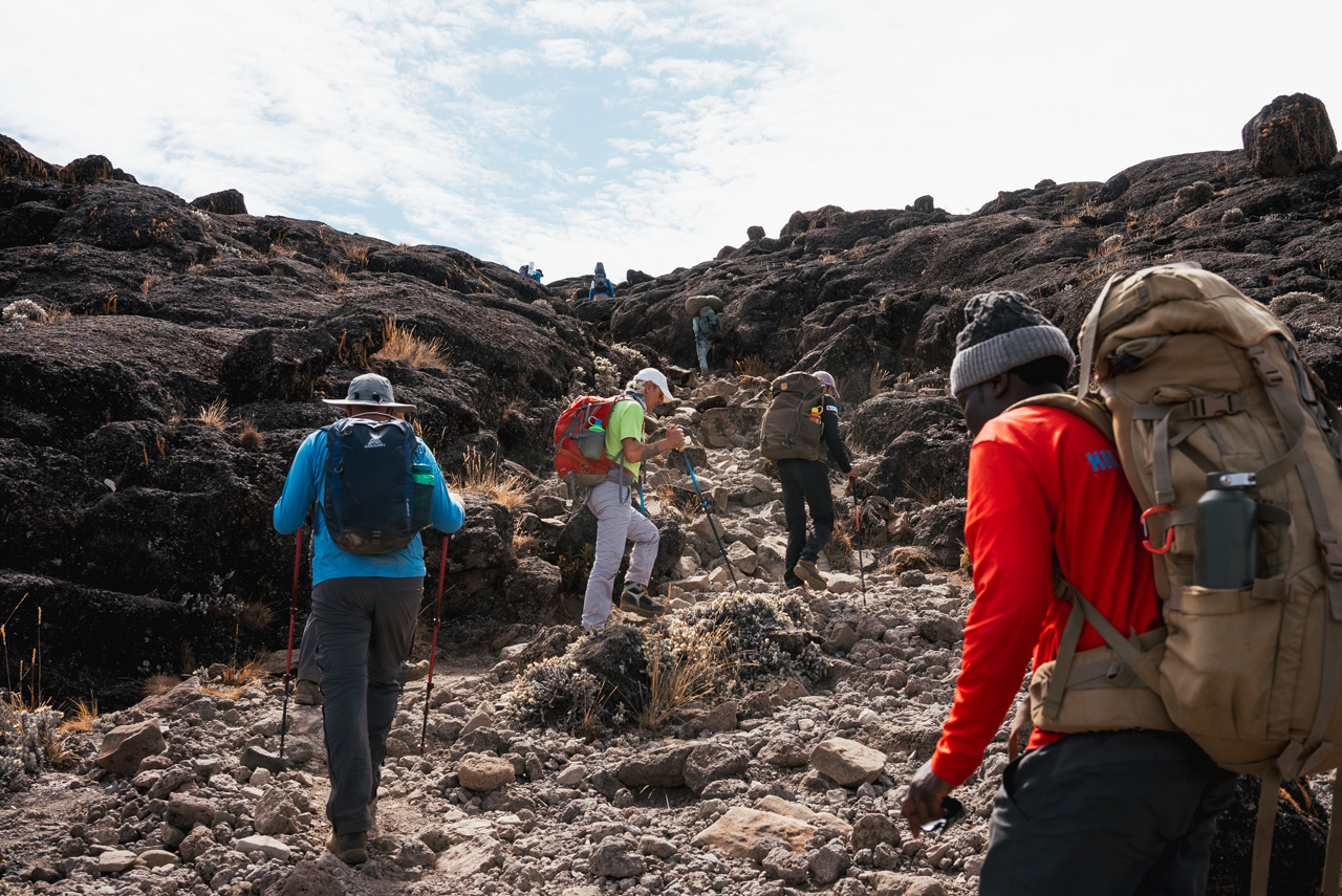 Alicia Eggert's You Are On A Mountain project