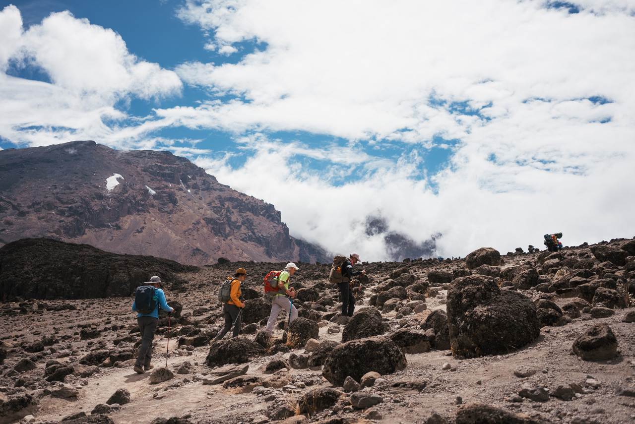 Alicia Eggert's You Are On A Mountain project