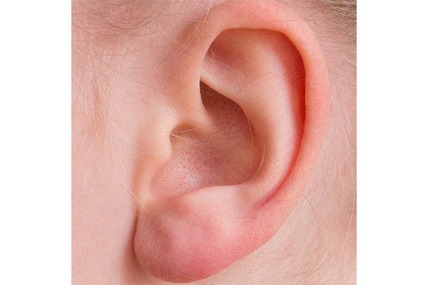 Ear