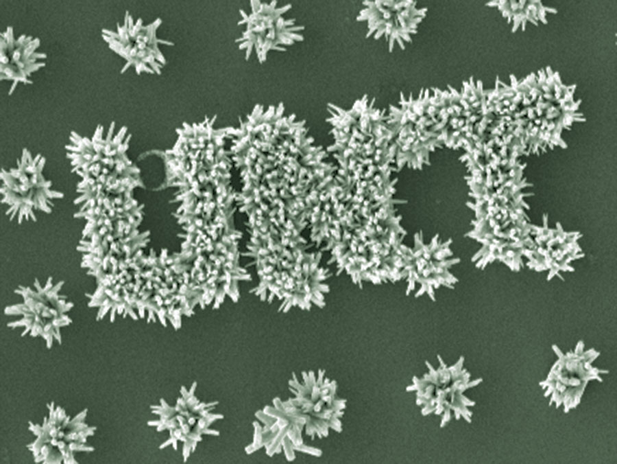 Jingbiao nano scale photography