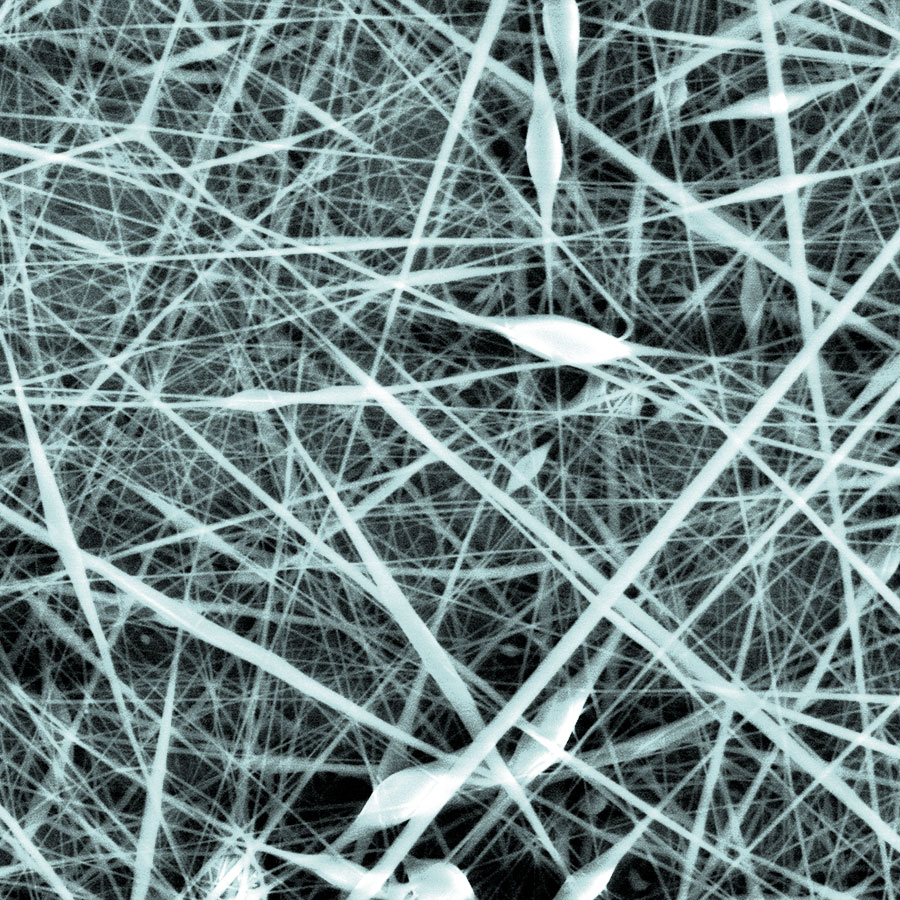 neda_habibi nano photography