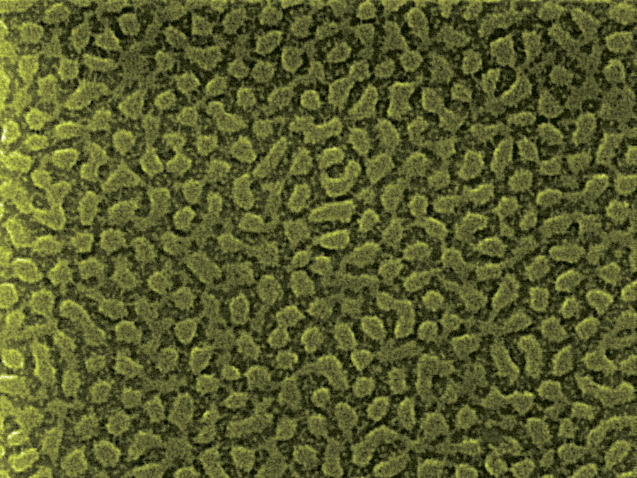 Xiao Li nanoscale photography